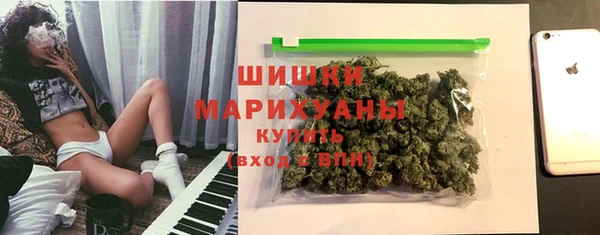 дмт Алзамай