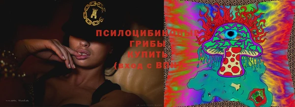 амф Абдулино