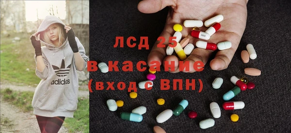 дживик Абаза