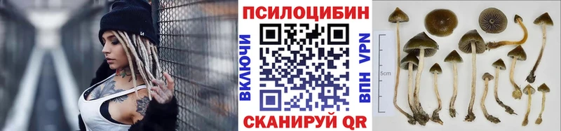 хочу наркоту  Костерёво  KRAKEN как войти  Псилоцибиновые грибы прущие грибы 